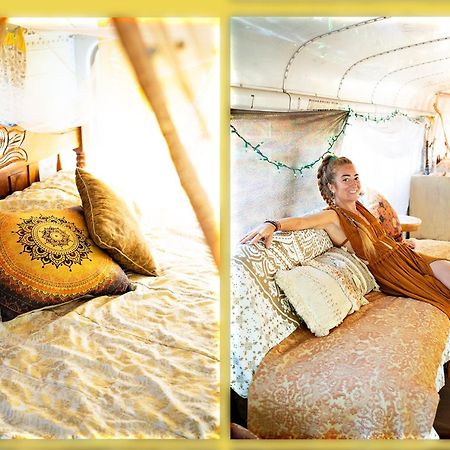 Rainbow Caravan Hostel Las Pilas Exteriör bild