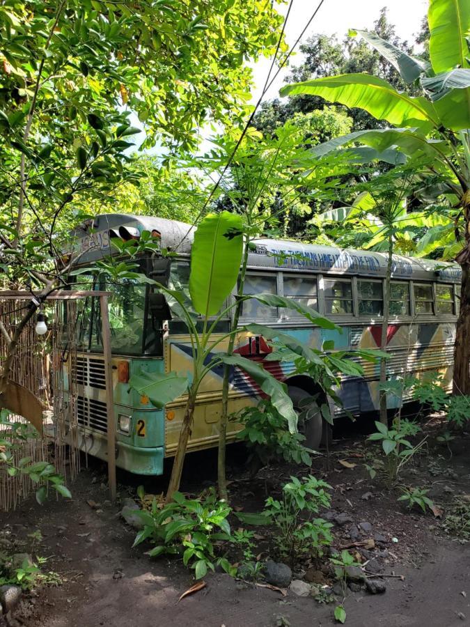 Rainbow Caravan Hostel Las Pilas Exteriör bild