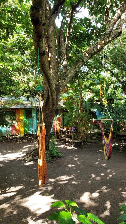Rainbow Caravan Hostel Las Pilas Exteriör bild